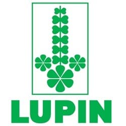 Lupin